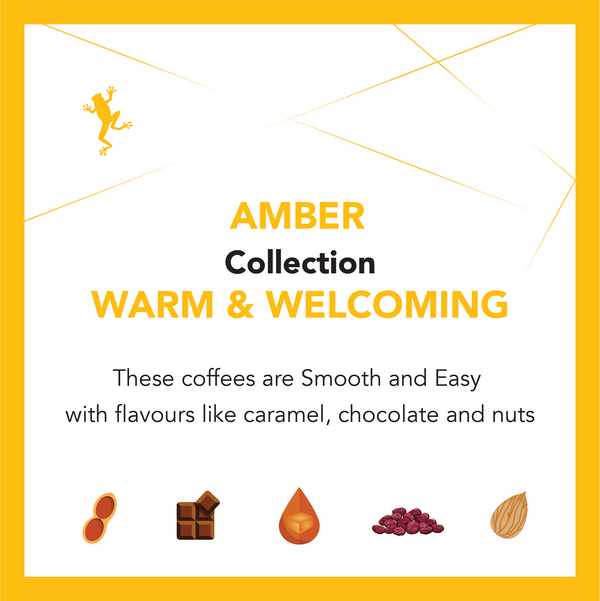 Amber Collection Ongoing Subscription