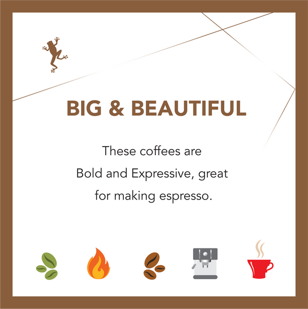 Espresso Collection Ongoing Subscription