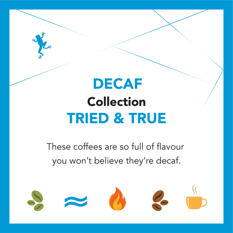 Decaf Collection Ongoing Subscription