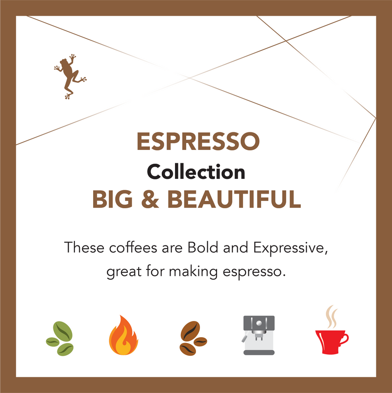 Espresso Collection Ongoing Subscription