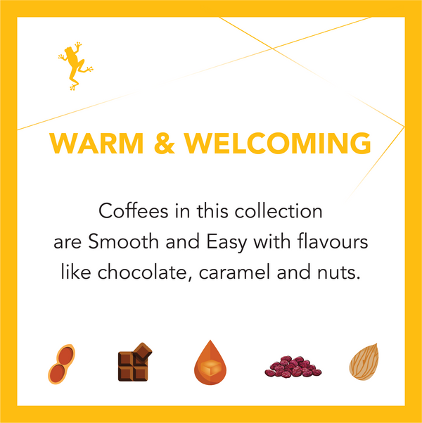 Amber Collection Ongoing Subscription